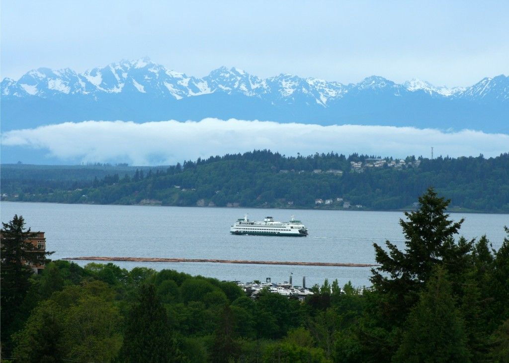 Sunflower House ( or One Bug Leads To&nbsp;Another)
